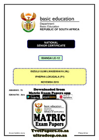 IsiZulu HL P1 Nov 2019.pdf